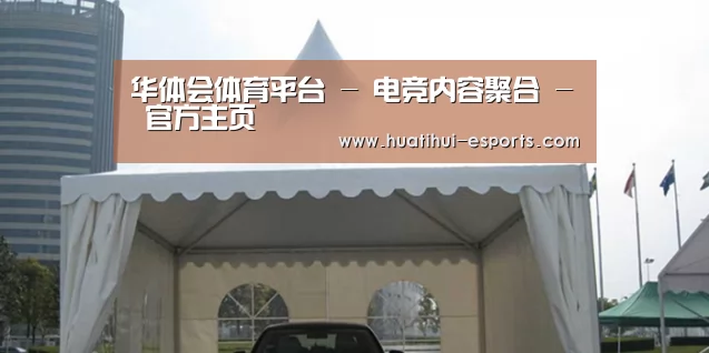 案例标题八
