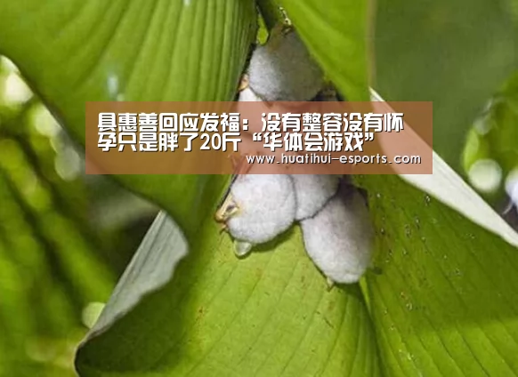 华体会官网