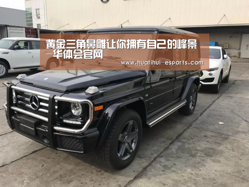 华体会游戏