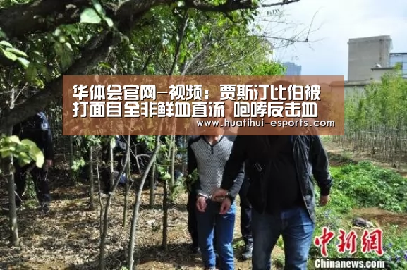 华体会官网