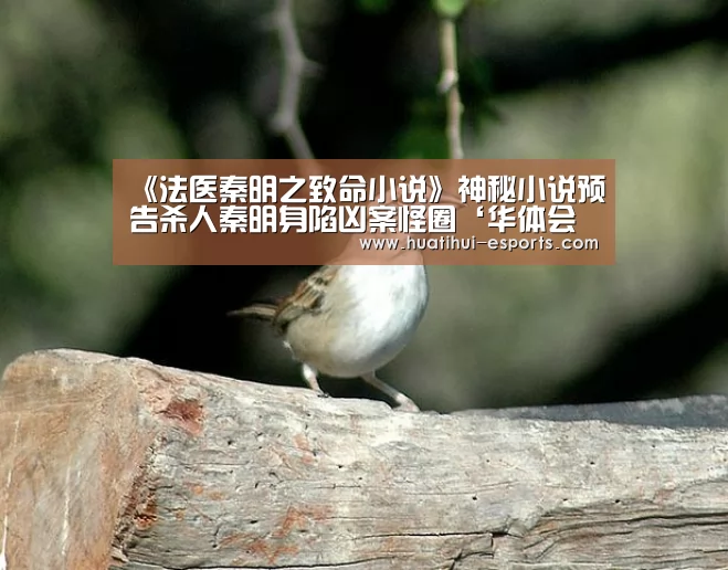 华体会游戏
