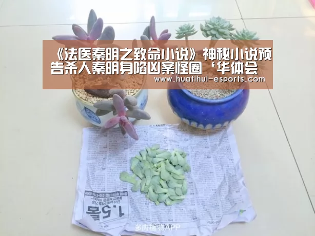 华体会官网