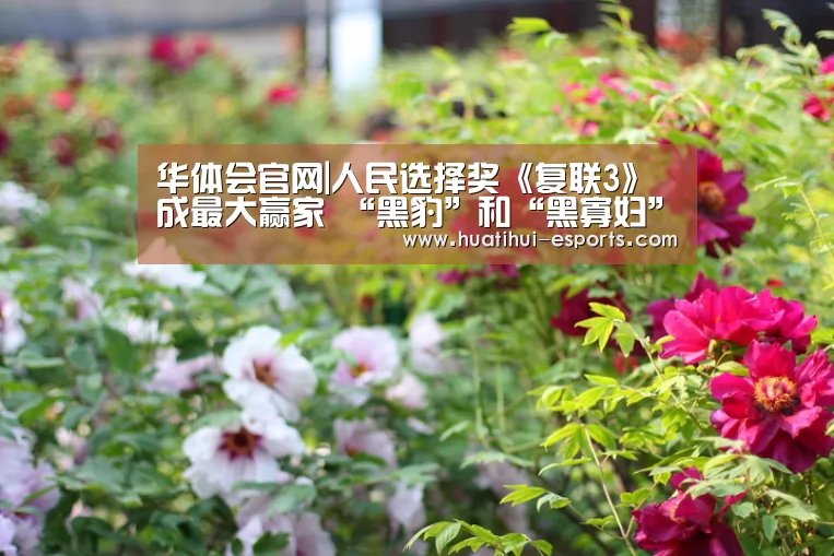 华体会网站