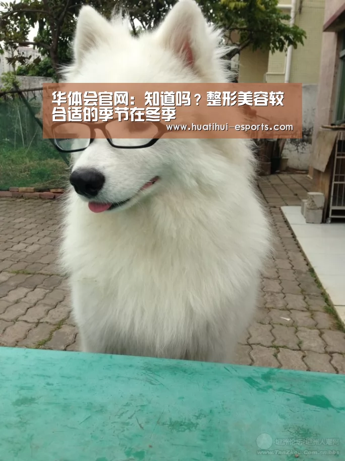 华体会官网