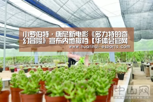 小罗伯特·唐尼新电影《多力特的奇幻冒险》宣布内地撤档【华体会官网】(图1) 华体会网站