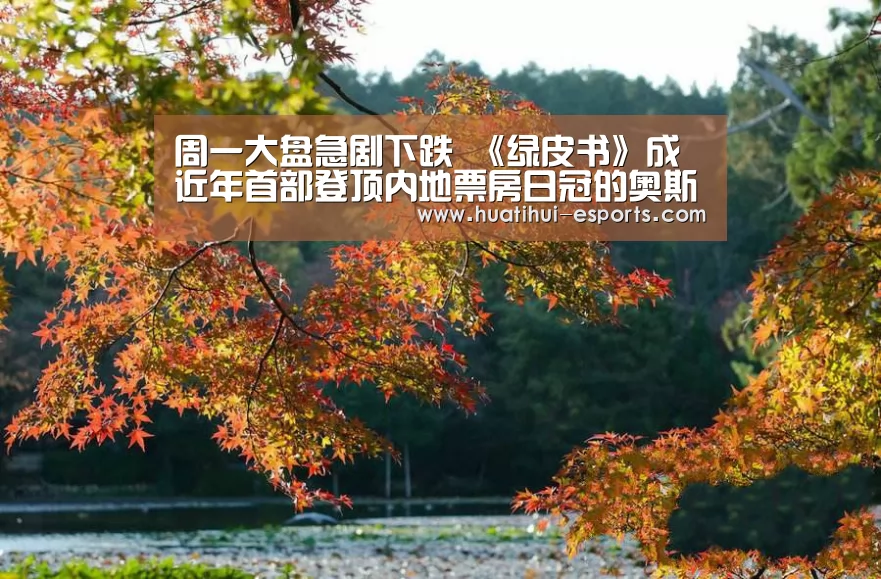 周一大盘急剧下跌 《绿皮书》成近年首部登顶内地票房日冠的奥斯卡最佳影片|华体会游戏(图2) 华体会网站