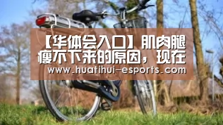 【华体会入口】肌肉腿瘦不下来的原因,现在终于懂了……(图1) 华体会入口