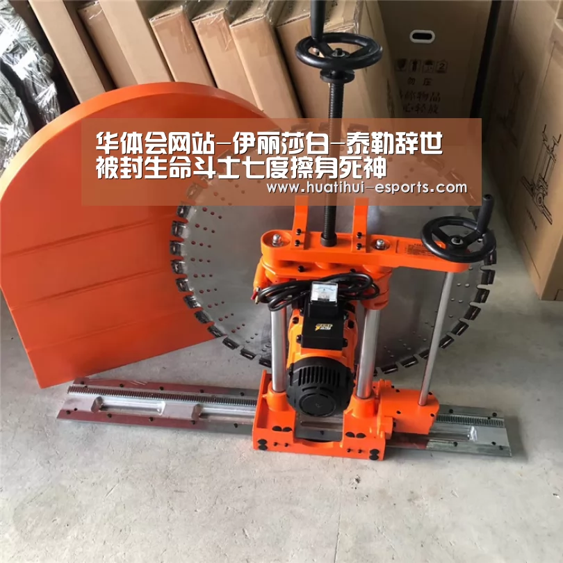 华体会网站-伊丽莎白-泰勒辞世 被封生命斗士七度擦身死神(图1) 华体会入口