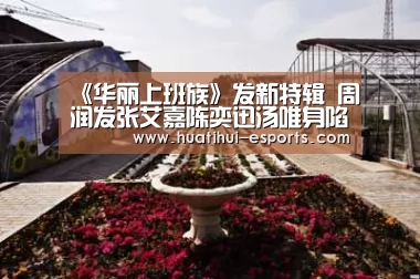 《华丽上班族》发新特辑 周润发张艾嘉陈奕迅汤唯身陷职场“黑社会”-华体会官网(图1) 华体会入口
